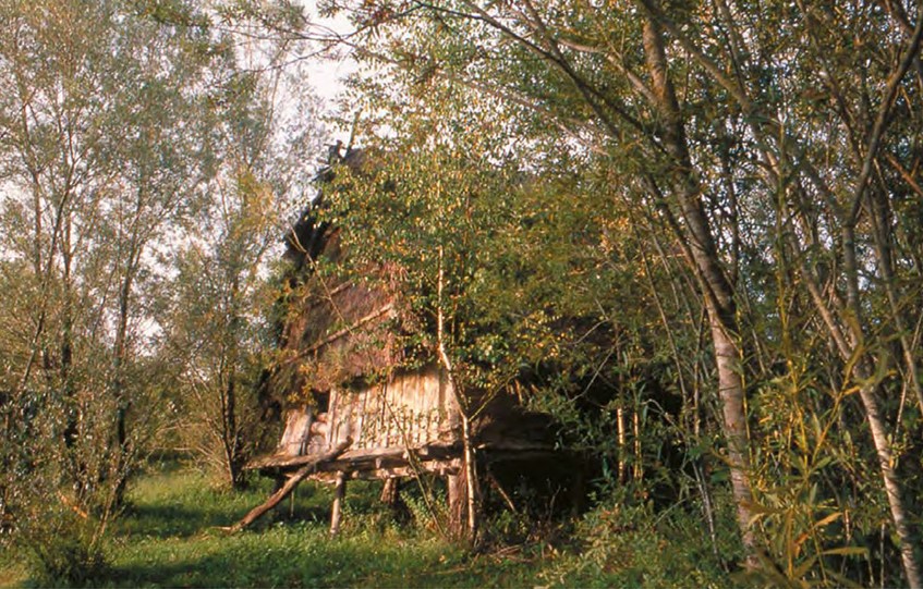 Chalain Archaeological site, Jura