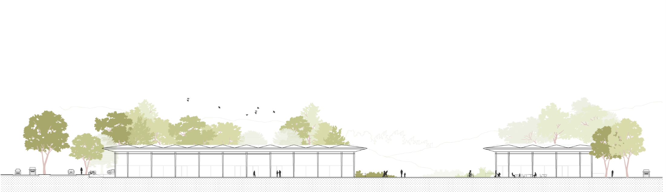 Section - Living Science Center and Gymnastics Academy